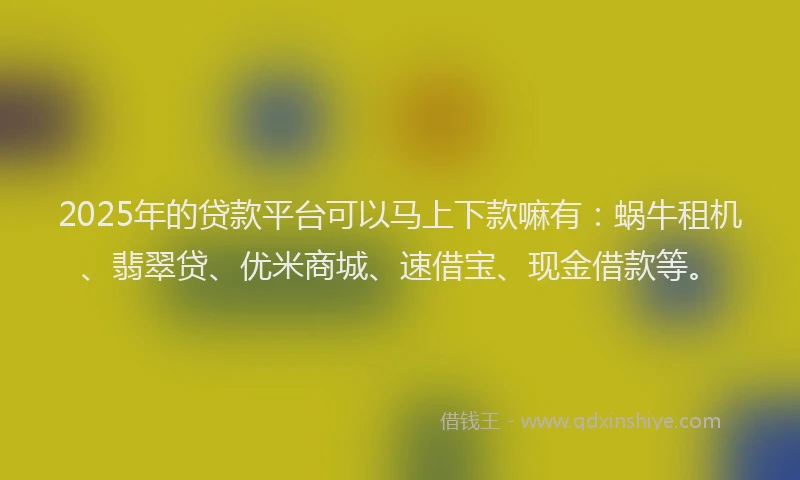 2025年的贷款平台可以马上下款嘛有：蜗牛租机、翡翠贷、优米商城、速借宝、现金借款等。