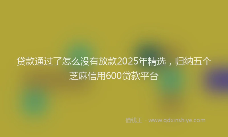 贷款通过了怎么没有放款2025年精选，归纳五个芝麻信用600贷款平台