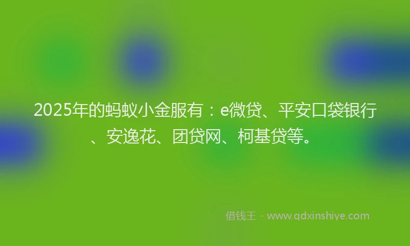 2025年的蚂蚁小金服有：e微贷、平安口袋银行、安逸花、团贷网、柯基贷等。