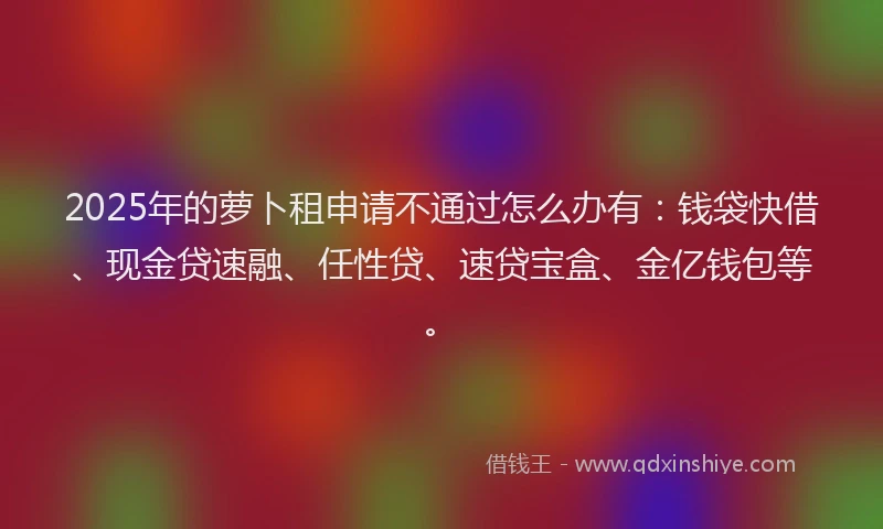 2025年的萝卜租申请不通过怎么办有：钱袋快借、现金贷速融、任性贷、速贷宝盒、金亿钱包等。