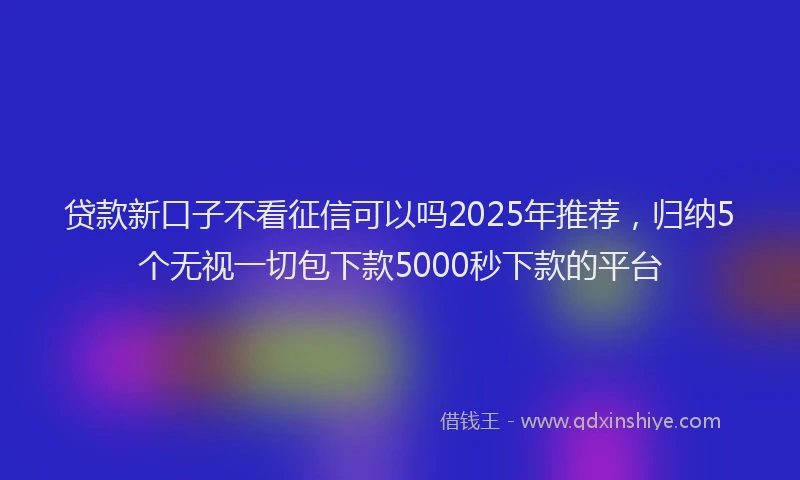 贷款新口子不看征信可以吗2025年推荐，归纳5个无视一切包下款5000秒下款的平台
