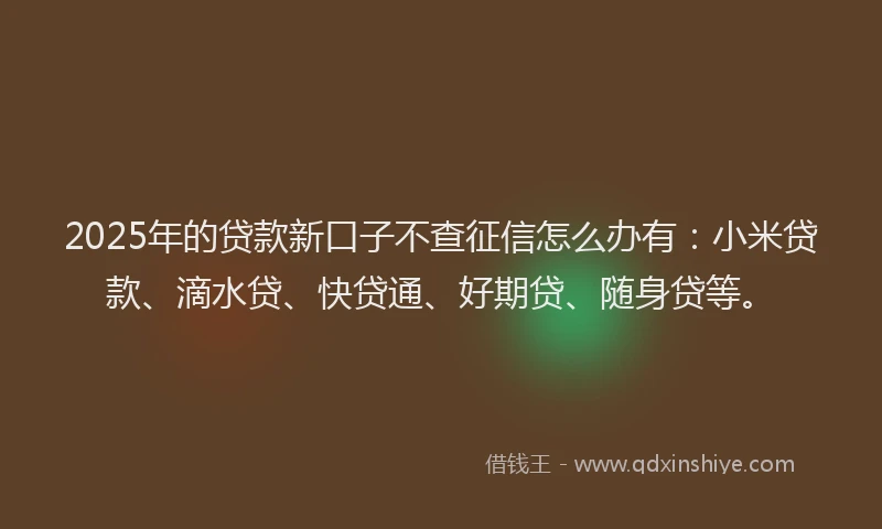 2025年的贷款新口子不查征信怎么办有：小米贷款、滴水贷、快贷通、好期贷、随身贷等。
