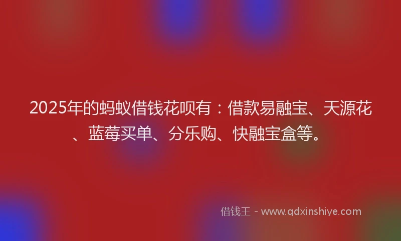 2025年的蚂蚁借钱花呗有：借款易融宝、天源花、蓝莓买单、分乐购、快融宝盒等。