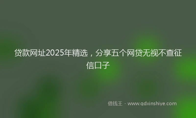 贷款网址2025年精选，分享五个网贷无视不查征信口子