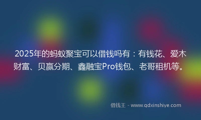 2025年的蚂蚁聚宝可以借钱吗有：有钱花、爱木财富、贝赢分期、鑫融宝Pro钱包、老哥租机等。