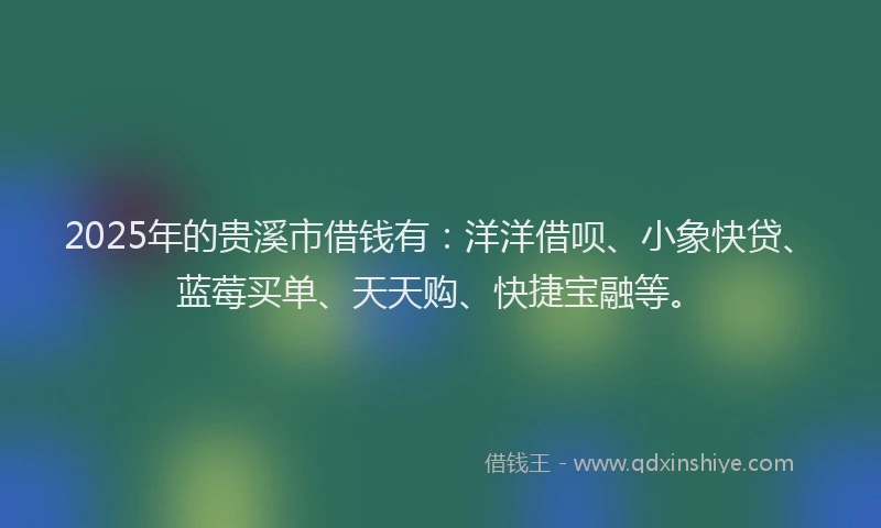 2025年的贵溪市借钱有：洋洋借呗、小象快贷、蓝莓买单、天天购、快捷宝融等。