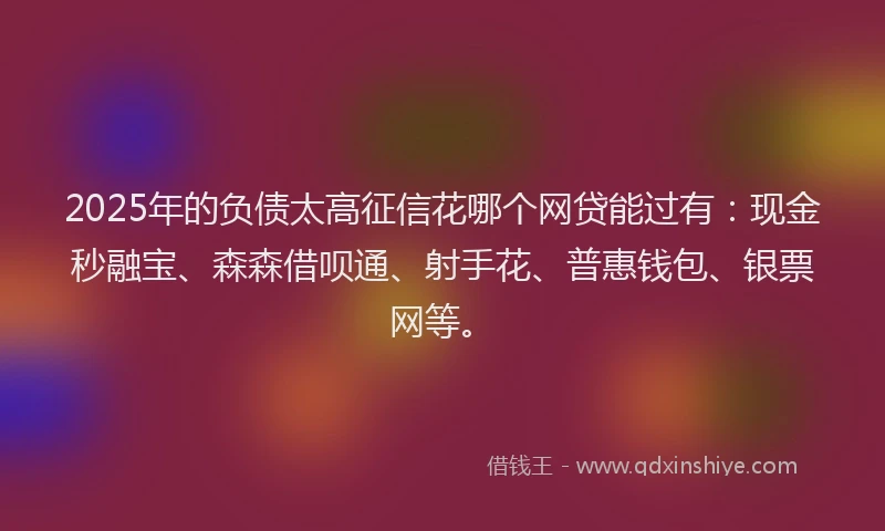 2025年的负债太高征信花哪个网贷能过有：现金秒融宝、森森借呗通、射手花、普惠钱包、银票网等。