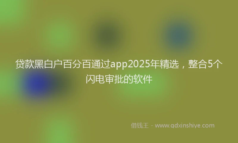 贷款黑白户百分百通过app2025年精选，整合5个闪电审批的软件