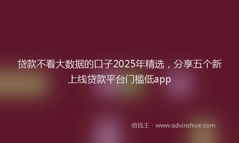 贷款不看大数据的口子2025年精选，分享五个新上线贷款平台门槛低app