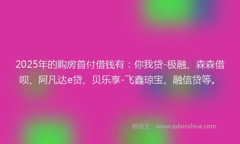2025年的购房首付借钱有：你我贷-极融、森森借呗、阿凡达e贷、贝乐享-飞鑫琼宝、融信贷等。