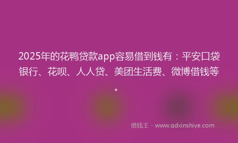 2025年的花鸭贷款app容易借到钱有：平安口袋银行、花呗、人人贷、美团生活费、微博借钱等。