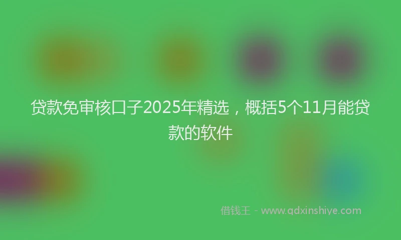 贷款免审核口子2025年精选，概括5个11月能贷款的软件