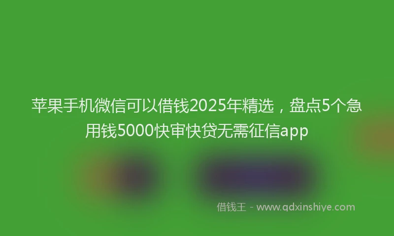 苹果手机微信可以借钱2025年精选，盘点5个急用钱5000快审快贷无需征信app