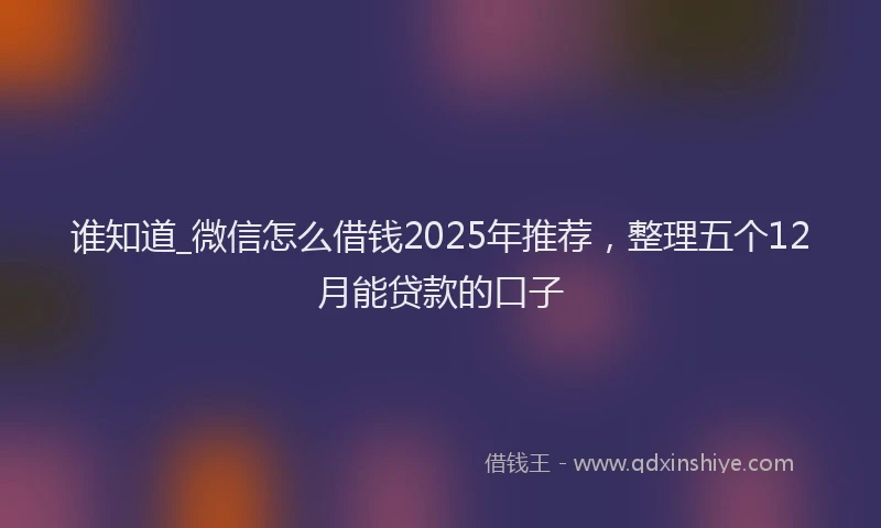 谁知道_微信怎么借钱2025年推荐，整理五个12月能贷款的口子
