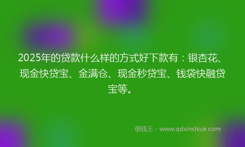 2025年的贷款什么样的方式好下款有：银杏花、现金快贷宝、金满仓、现金秒贷宝、钱袋快融贷宝等。