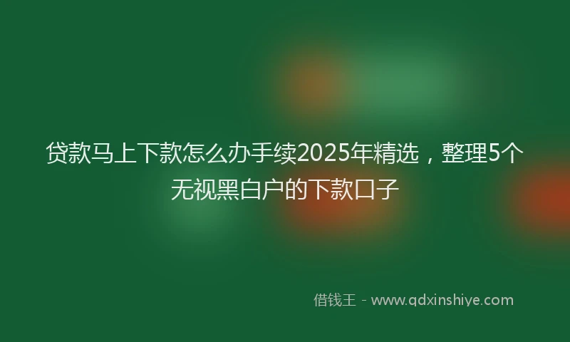 贷款马上下款怎么办手续2025年精选，整理5个无视黑白户的下款口子