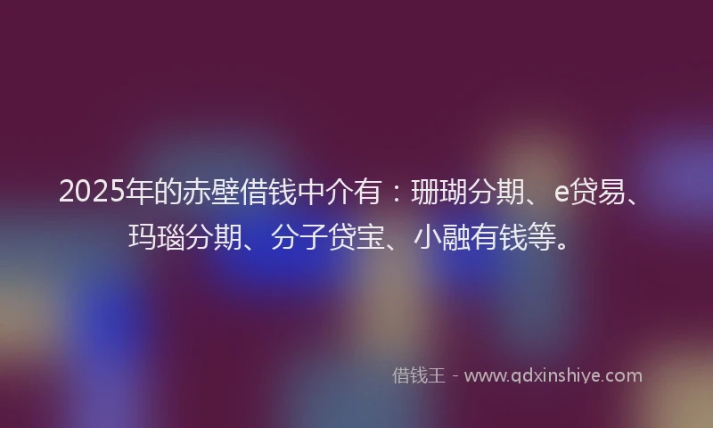 2025年的赤壁借钱中介有：珊瑚分期、e贷易、玛瑙分期、分子贷宝、小融有钱等。