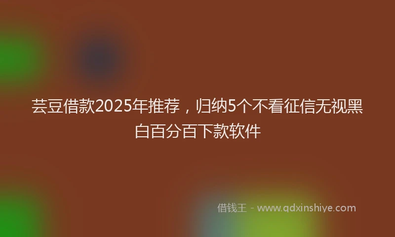 芸豆借款2025年推荐，归纳5个不看征信无视黑白百分百下款软件