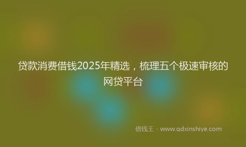 贷款消费借钱2025年精选，梳理五个极速审核的网贷平台
