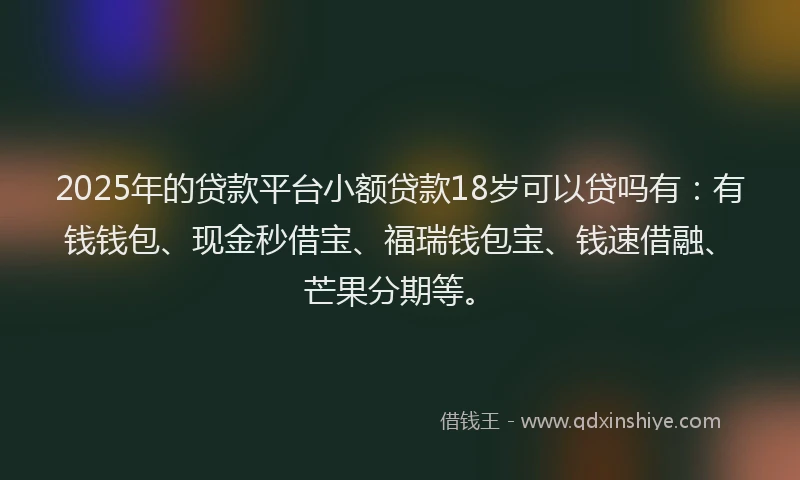 2025年的贷款平台小额贷款18岁可以贷吗有：有钱钱包、现金秒借宝、福瑞钱包宝、钱速借融、芒果分期等。