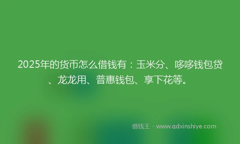 2025年的货币怎么借钱有：玉米分、哆哆钱包贷、龙龙用、普惠钱包、享下花等。
