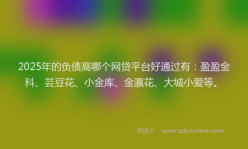 2025年的负债高哪个网贷平台好通过有:盈盈金科、芸豆花、小金库、金瀛花、大城小爱等。