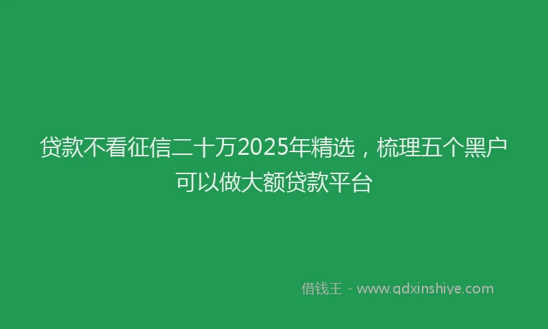 贷款不看征信二十万2025年精选，梳理五个黑户可以做大额贷款平台