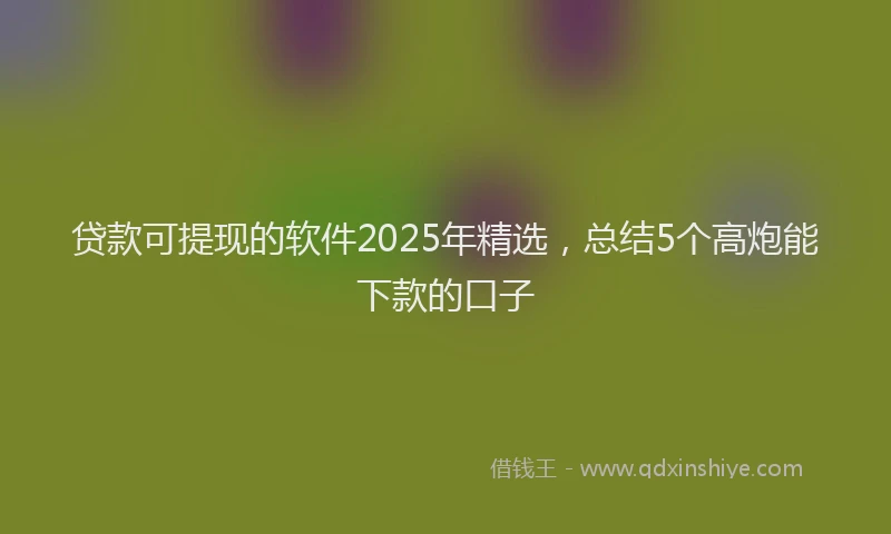 贷款可提现的软件2025年精选，总结5个高炮能下款的口子