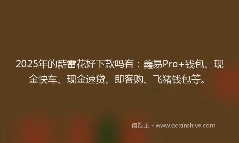 2025年的薪雷花好下款吗有：鑫易Pro+钱包、现金快车、现金速贷、即客购、飞猪钱包等。