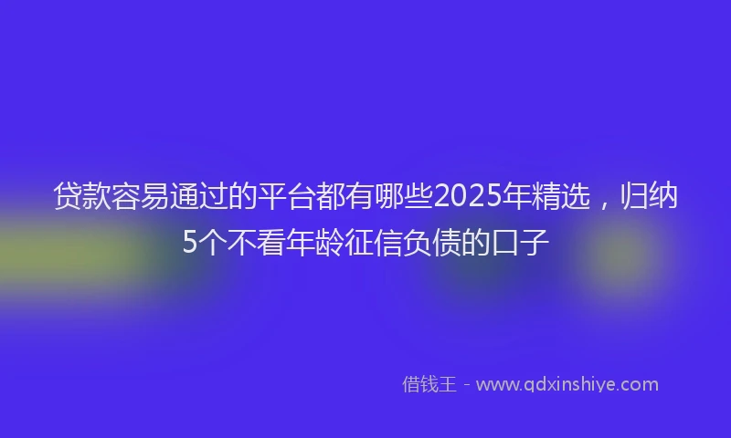 贷款容易通过的平台都有哪些2025年精选，归纳5个不看年龄征信负债的口子