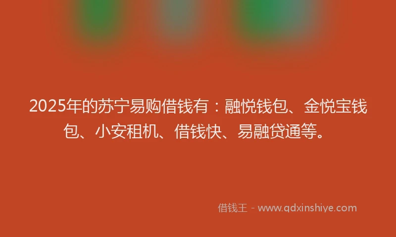 2025年的苏宁易购借钱有：融悦钱包、金悦宝钱包、小安租机、借钱快、易融贷通等。