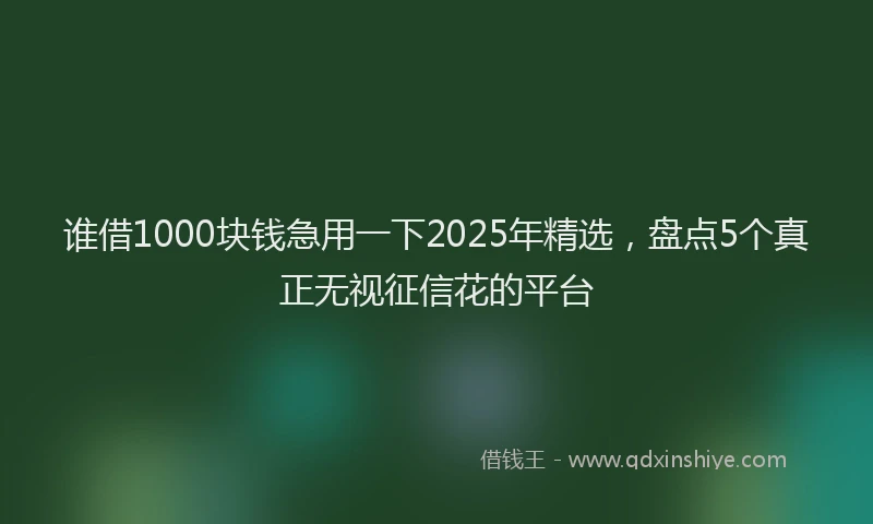 谁借1000块钱急用一下2025年精选，盘点5个真正无视征信花的平台