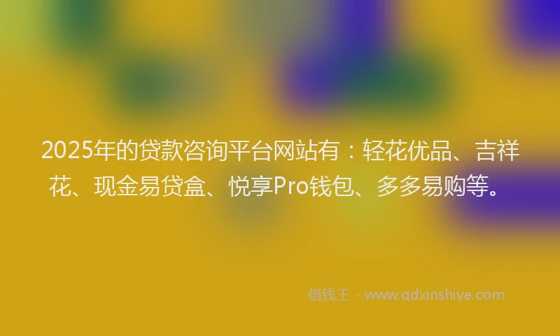 2025年的贷款咨询平台网站有：轻花优品、吉祥花、现金易贷盒、悦享Pro钱包、多多易购等。