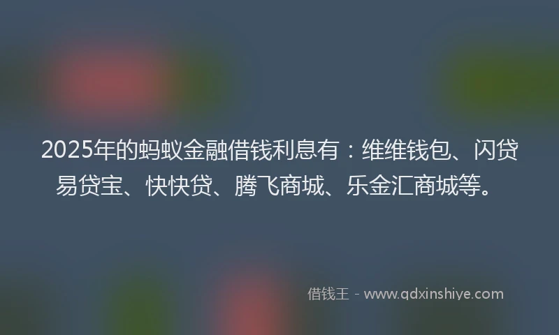 2025年的蚂蚁金融借钱利息有：维维钱包、闪贷易贷宝、快快贷、腾飞商城、乐金汇商城等。