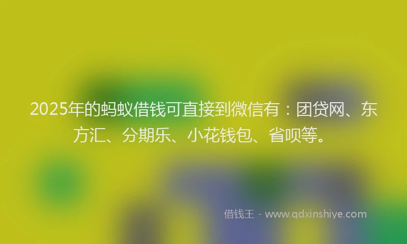 2025年的蚂蚁借钱可直接到微信有：团贷网、东方汇、分期乐、小花钱包、省呗等。