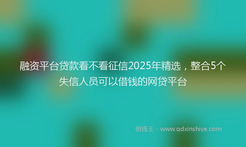 融资平台贷款看不看征信2025年精选，整合5个失信人员可以借钱的网贷平台