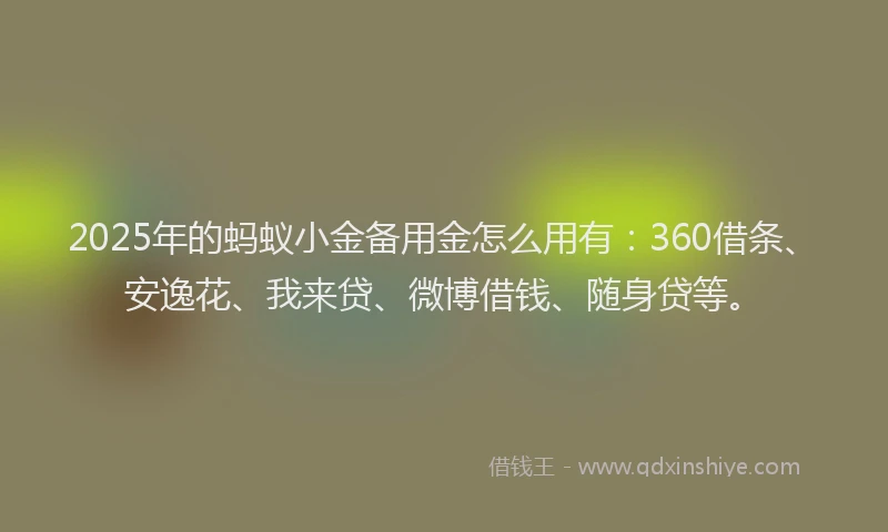 2025年的蚂蚁小金备用金怎么用有：360借条、安逸花、我来贷、微博借钱、随身贷等。