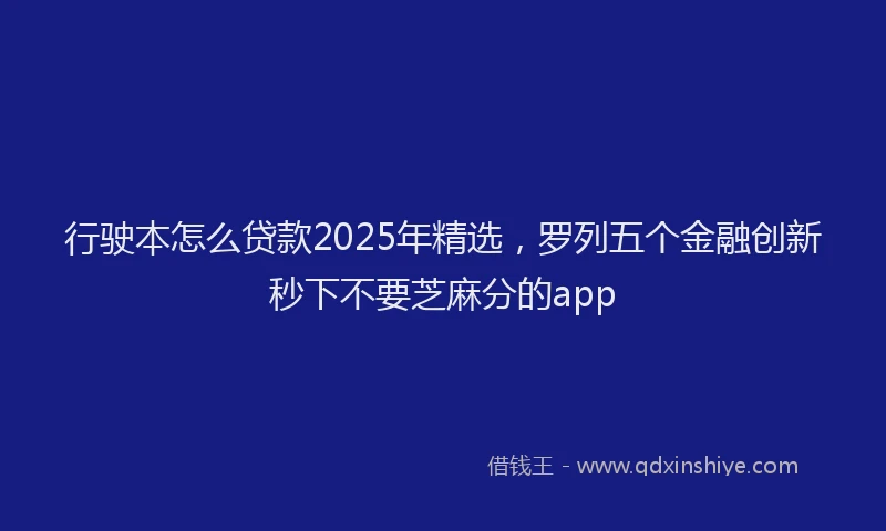 行驶本怎么贷款2025年精选，罗列五个金融创新秒下不要芝麻分的app