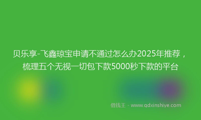 贝乐享-飞鑫琼宝申请不通过怎么办2025年推荐，梳理五个无视一切包下款5000秒下款的平台