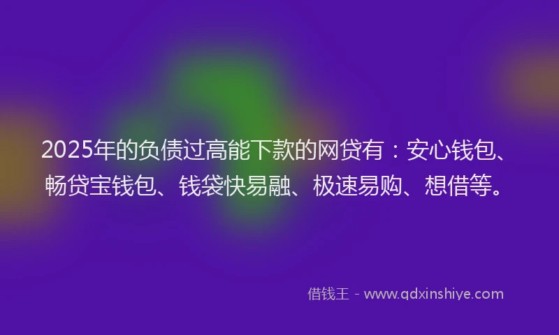 2025年的负债过高能下款的网贷有：安心钱包、畅贷宝钱包、钱袋快易融、极速易购、想借等。