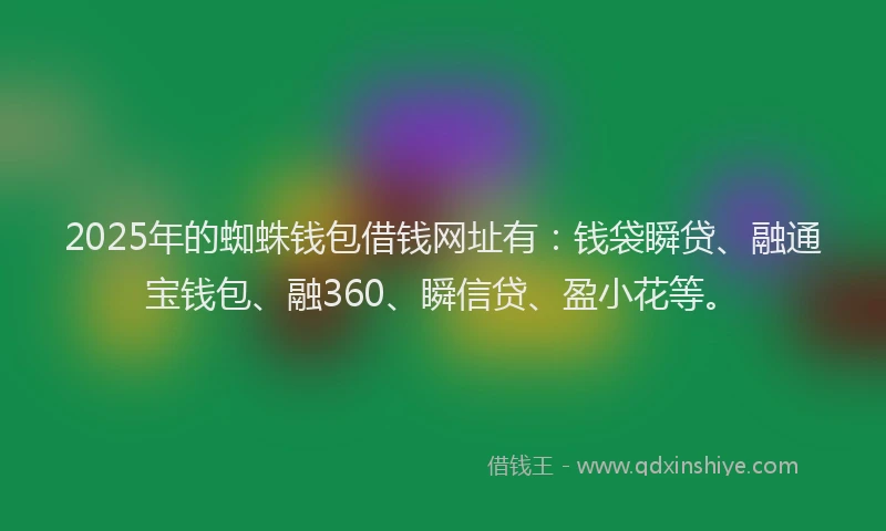 2025年的蜘蛛钱包借钱网址有：钱袋瞬贷、融通宝钱包、融360、瞬信贷、盈小花等。