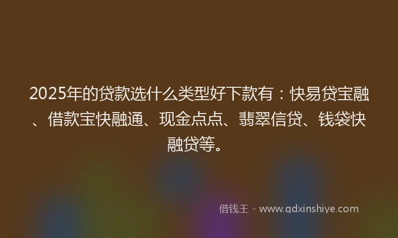 2025年的贷款选什么类型好下款有：快易贷宝融、借款宝快融通、现金点点、翡翠信贷、钱袋快融贷等。