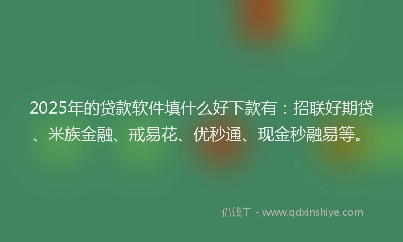 2025年的贷款软件填什么好下款有：招联好期贷、米族金融、戒易花、优秒通、现金秒融易等。