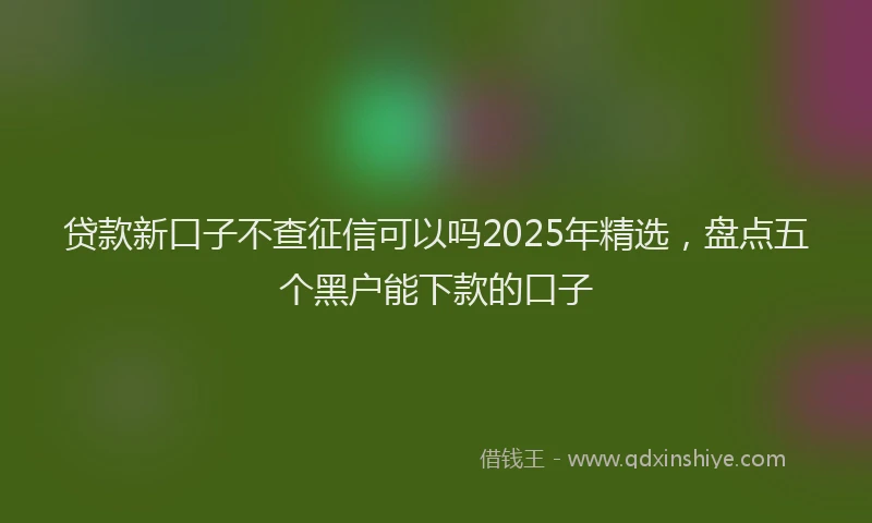贷款新口子不查征信可以吗2025年精选，盘点五个黑户能下款的口子