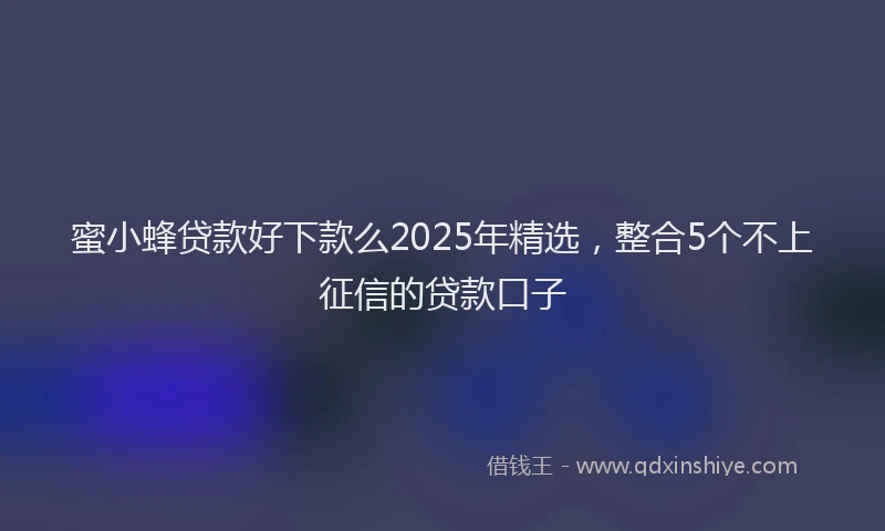 蜜小蜂贷款好下款么2025年精选，整合5个不上征信的贷款口子