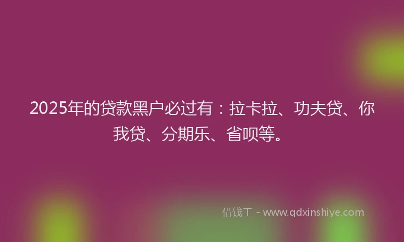 2025年的贷款黑户必过有：拉卡拉、功夫贷、你我贷、分期乐、省呗等。