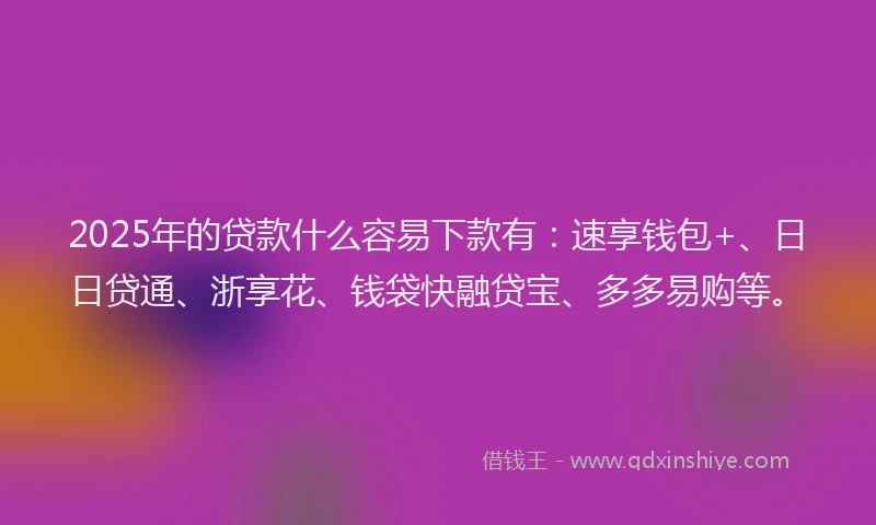 2025年的贷款什么容易下款有：速享钱包+、日日贷通、浙享花、钱袋快融贷宝、多多易购等。