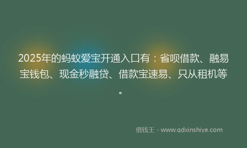 2025年的蚂蚁爱宝开通入口有：省呗借款、融易宝钱包、现金秒融贷、借款宝速易、只从租机等。