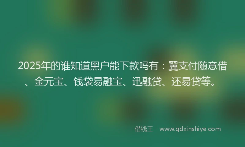 2025年的谁知道黑户能下款吗有：翼支付随意借、金元宝、钱袋易融宝、迅融贷、还易贷等。
