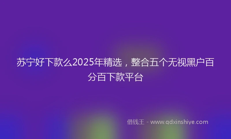 苏宁好下款么2025年精选，整合五个无视黑户百分百下款平台